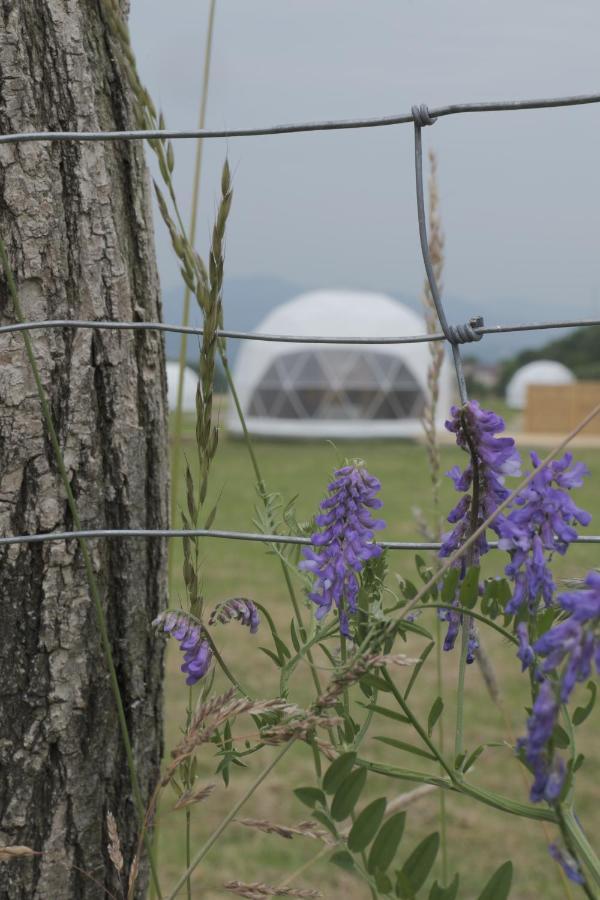 Glamping Resort Dolny Kamenec Buitenkant foto